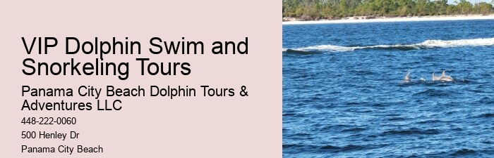 What Are The Risks Of Hugging Dolphins In The Wild