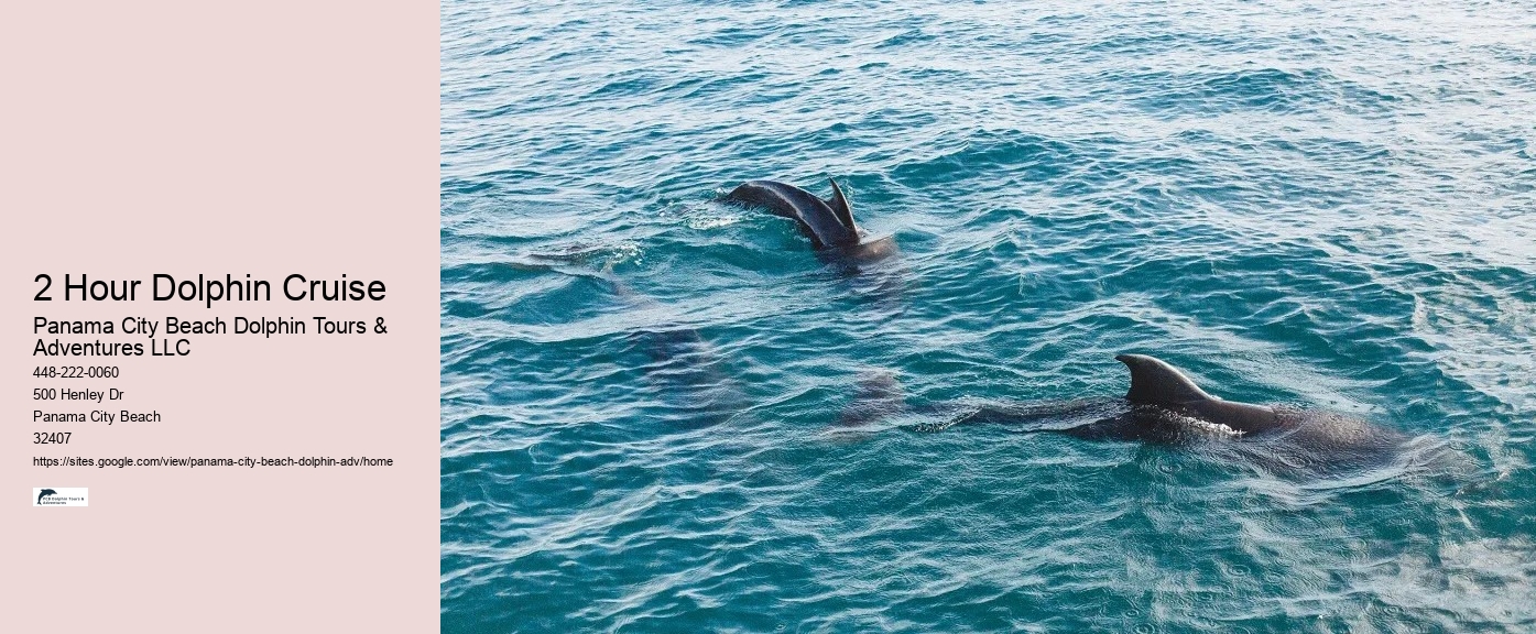 PCB Dolphin Exploration Trips