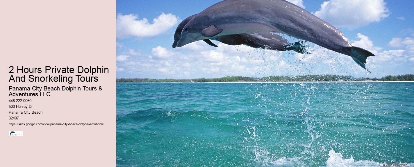 Panama City Dolphin Tours