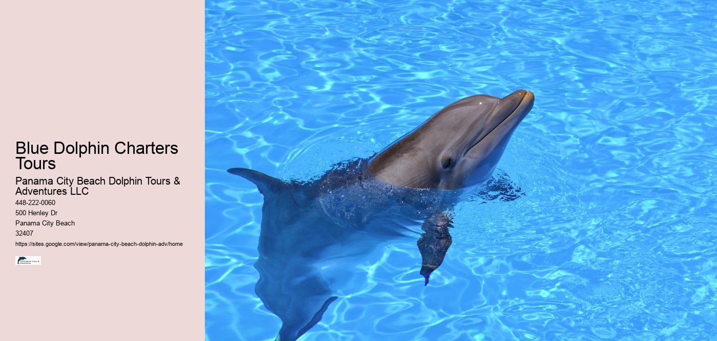 Blue Dolphin Charters Tours