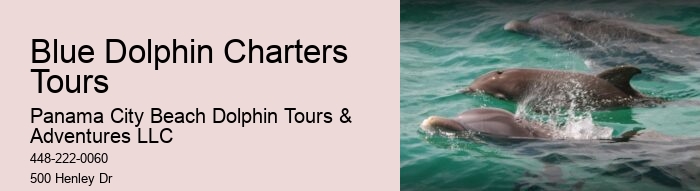 Best Dolphin Tours In Panama City Beach
