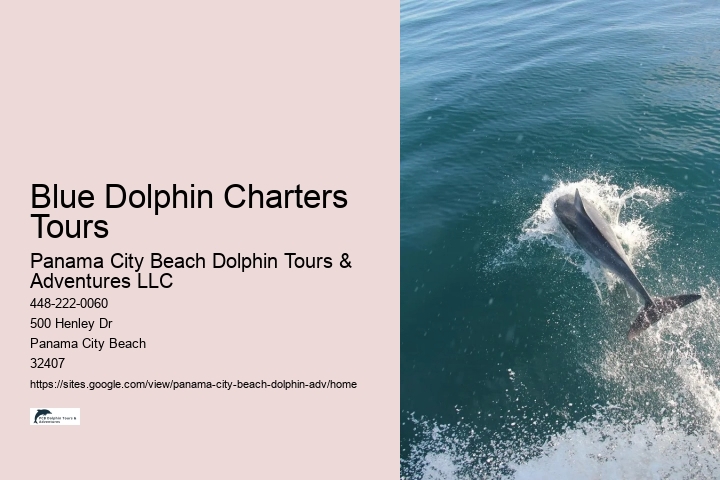 PCB Dolphin Discovery Cruises