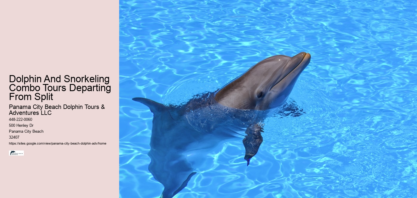 Dolphin And Snorkeling Combo Tours Departing From Split