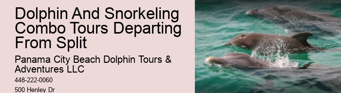 Split Adventurous Dolphin And Snorkeling Excursions