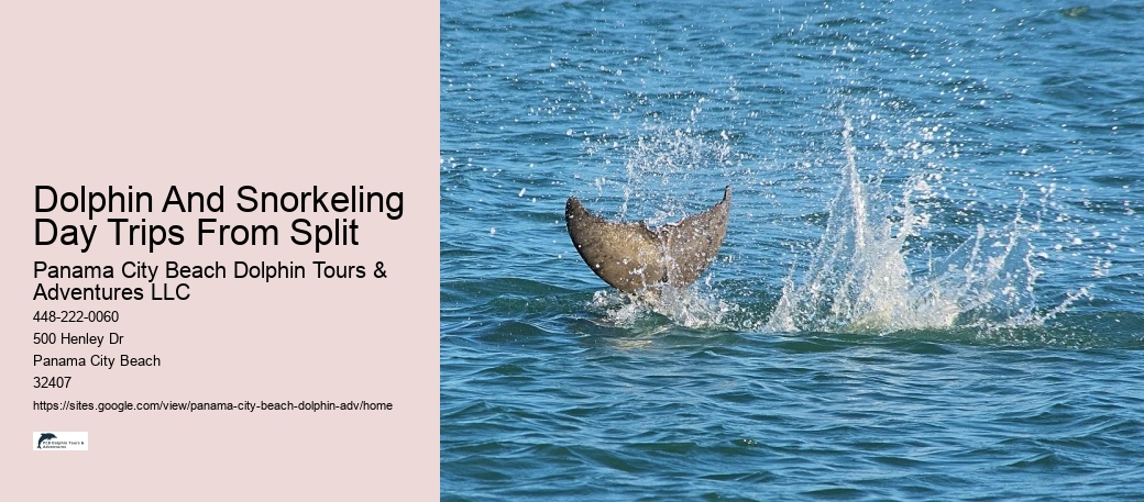 Split Multi-day Sailing Trips With Dolphin Watching And Snorkeling