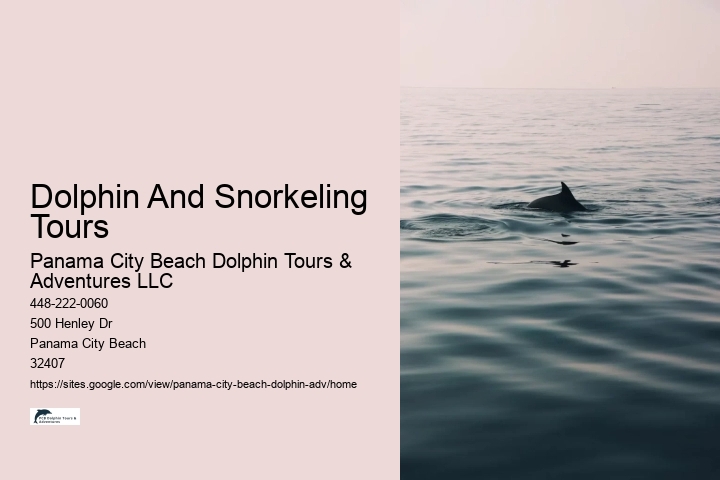 Split Charter Dolphin Tours