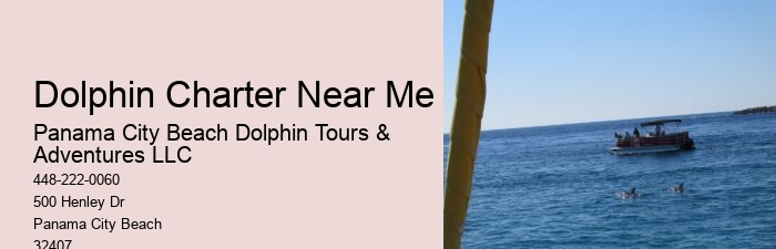 Dolphin Encounter