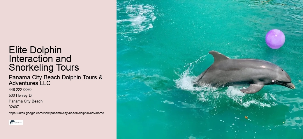 Split Dolphin Tour