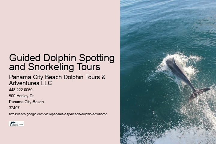Panama City Beach Dolphin Tours