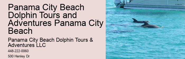 Dolphin Boat Charter