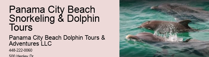 30a Dolphin Tours