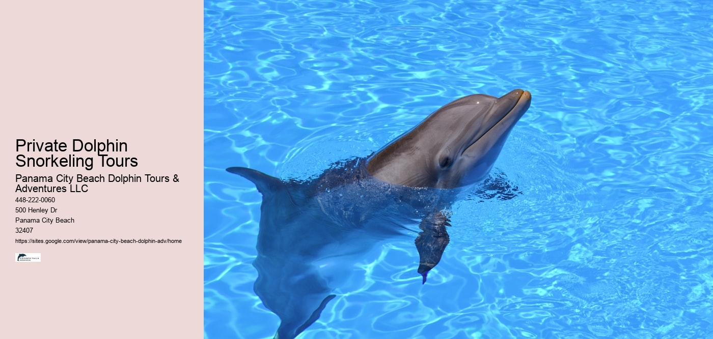 Private Dolphin Snorkeling Tours