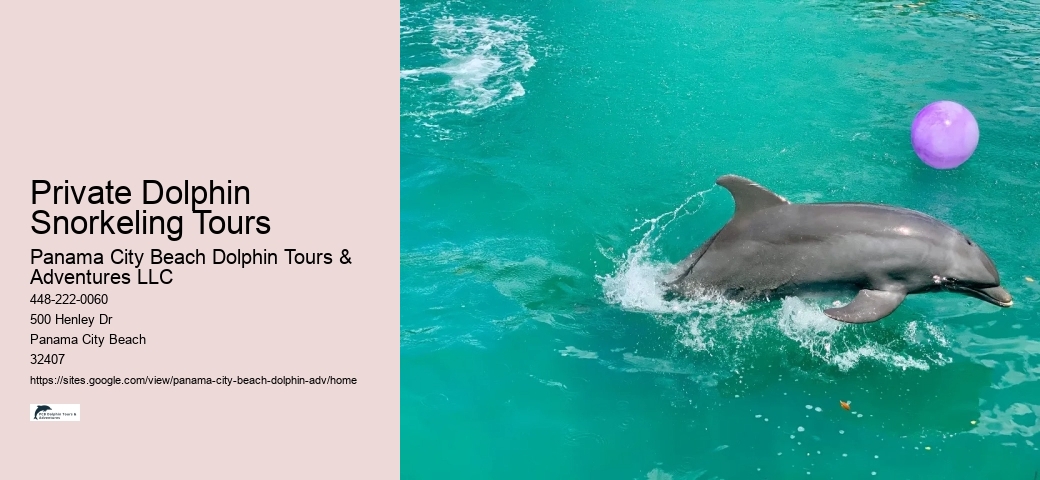 Blue Dolphin Tours Panama City Beach Fl