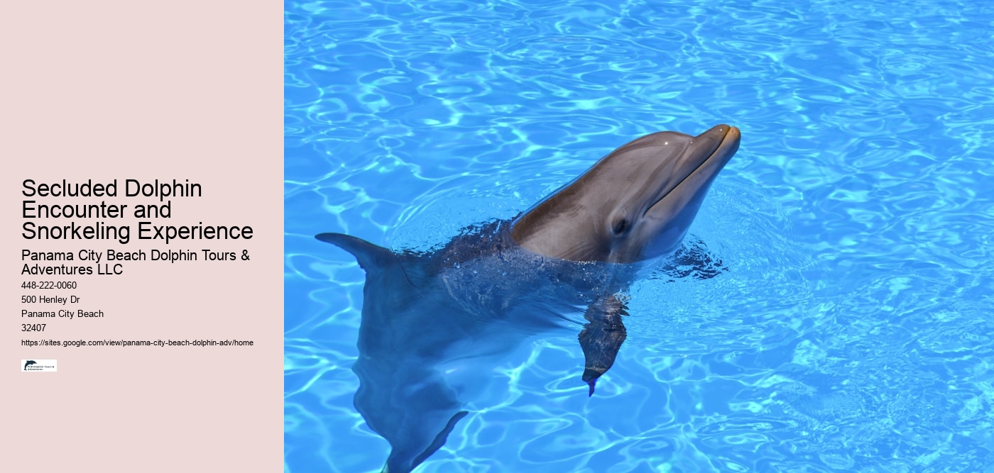 Secluded Dolphin Encounter and Snorkeling Experience