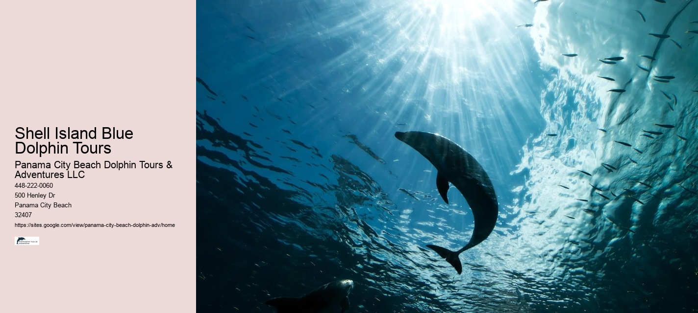 Top 20 Panama City Beach Dolphin Cruises & Tours 2024
