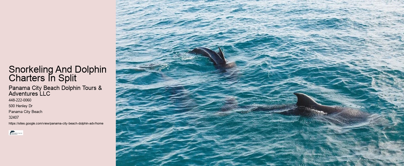 Split Family-friendly Dolphin And Snorkeling Tours