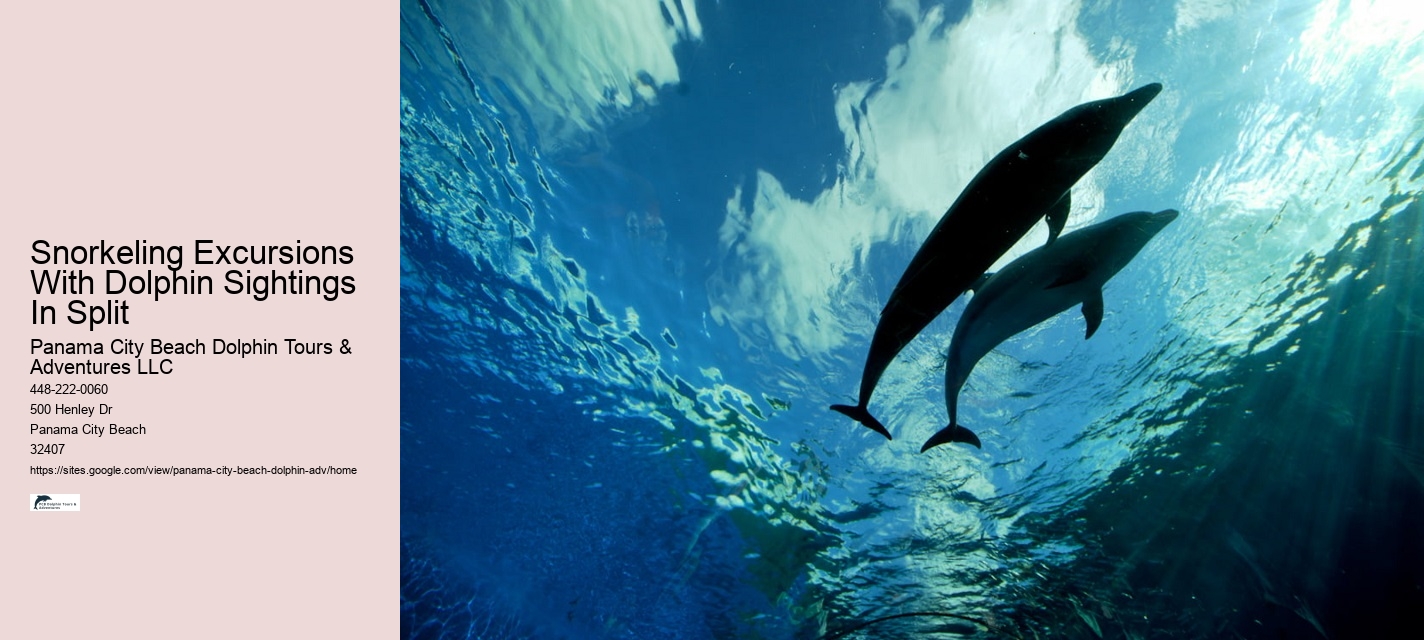 Dolphin Excursions Snorkel Adventure
