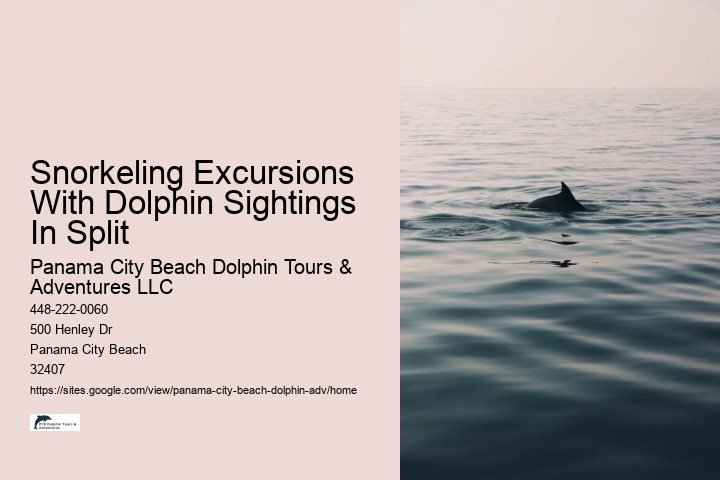 Why Can't You Wear Jewelry When Swimming With Dolphins