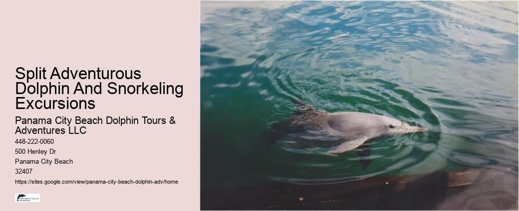 Best Excursion Panama City Beach