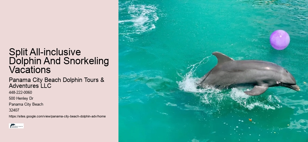 Dolphin Tour And Snorkeling Near Me