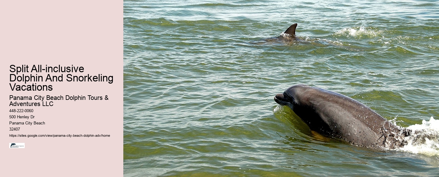 Are Panama City Beach dolphin tours suitable for non-swimmers