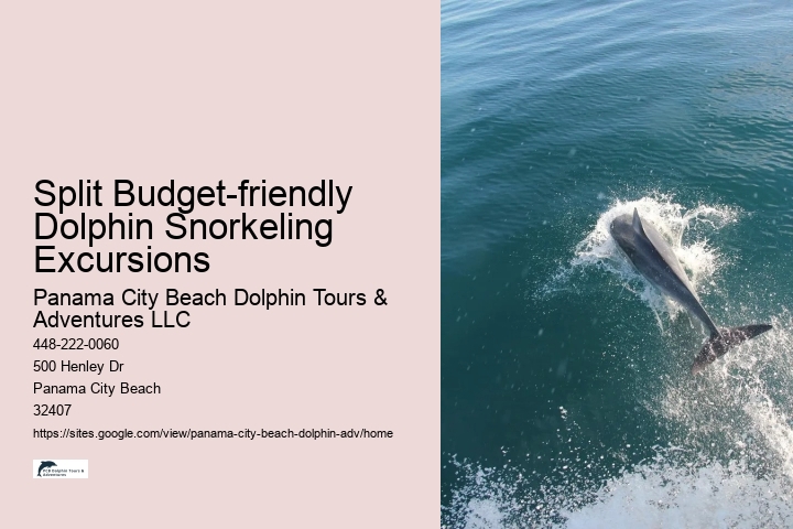 Do Dolphins Like To Be Touched