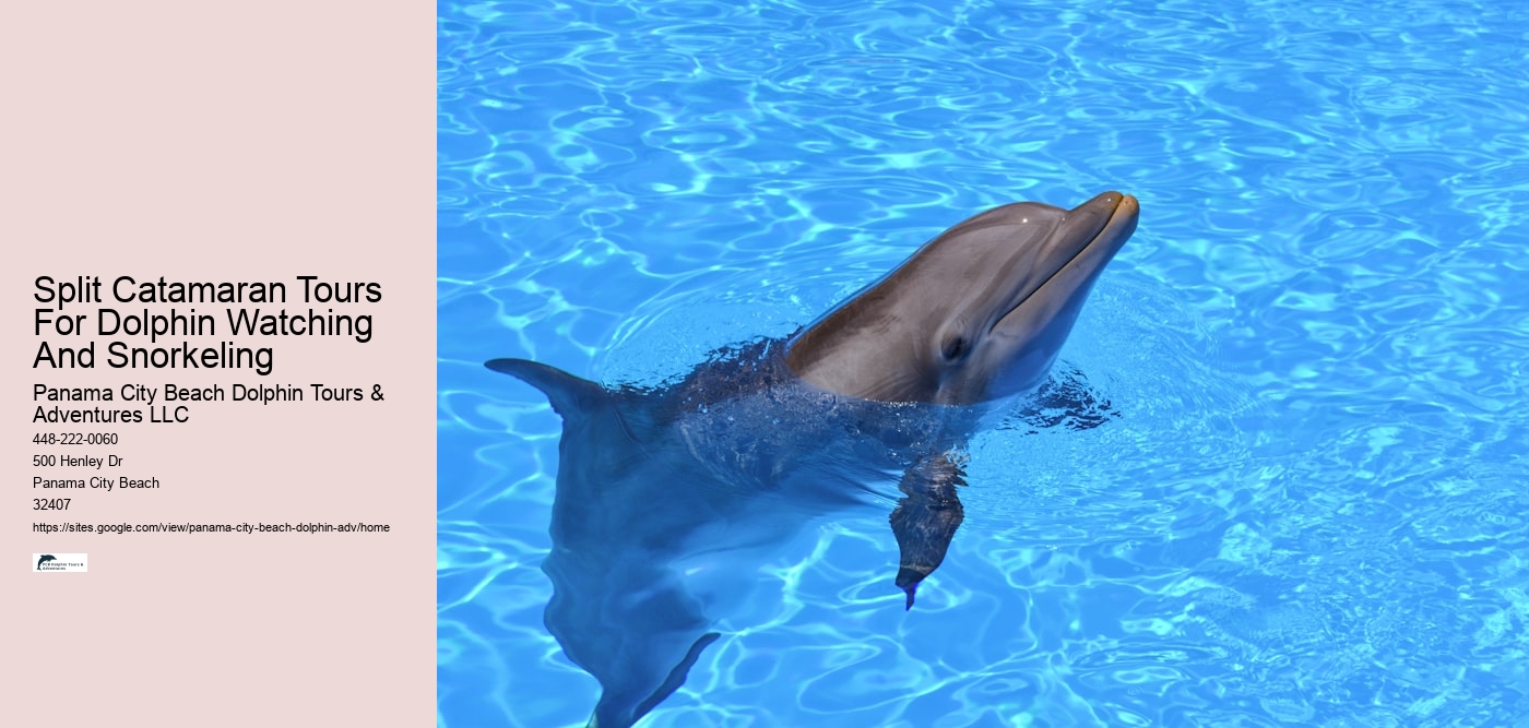 Split Catamaran Tours For Dolphin Watching And Snorkeling