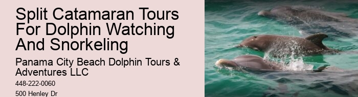 Split Ultimate Dolphin And Snorkeling Expeditions