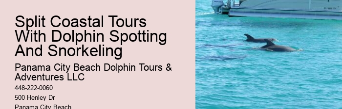 Exclusive Dolphin Exploration with Snorkeling