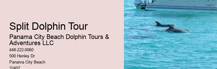 Split Budget-friendly Dolphin Snorkeling Excursions