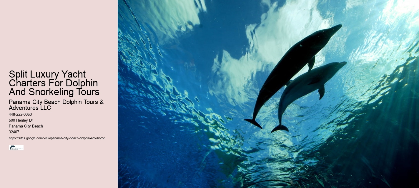 Panama City Beach Dolphin And Snorkel Tours