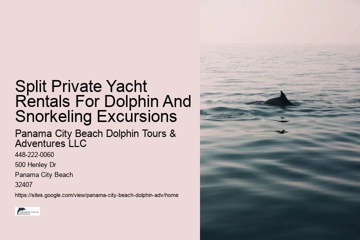 Split Adrenaline-pumping Dolphin And Snorkeling Adventures