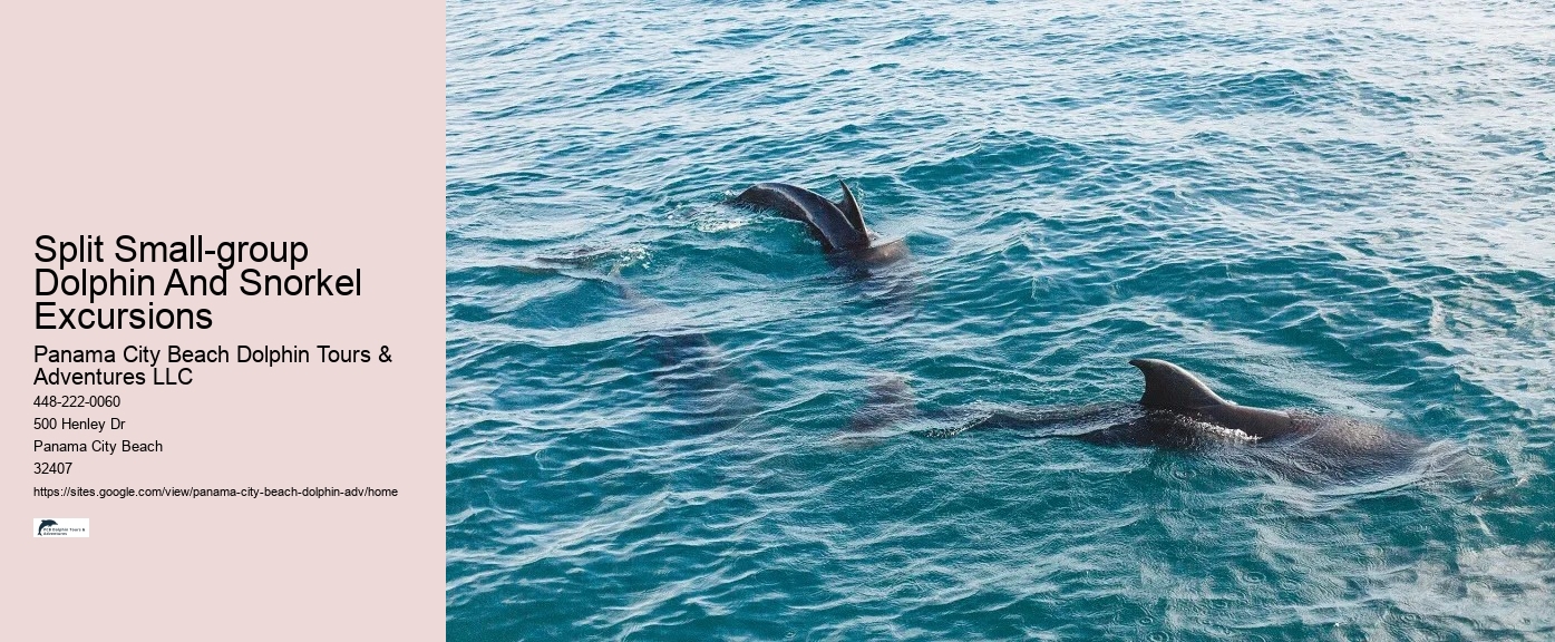 You Won't Need Water Shoes In The Water