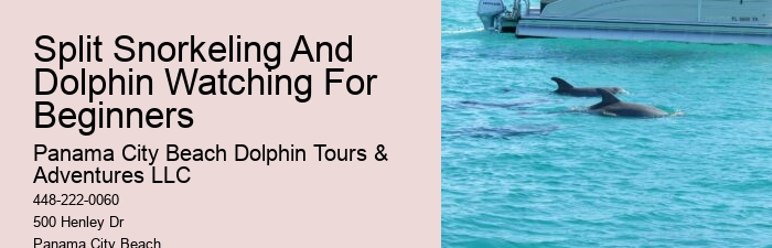 Is The Blue Lagoon Dolphin Encounter Worth It