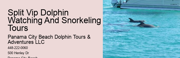 Split Customizable Dolphin And Snorkeling Packages