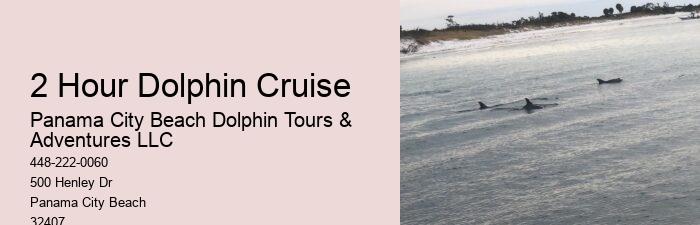 Split Charter Dolphin And Snorkeling