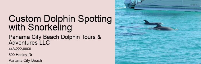 Can I feed the dolphins during the tour