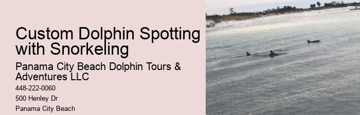 Panama City Beach dolphin sightseeing cruises