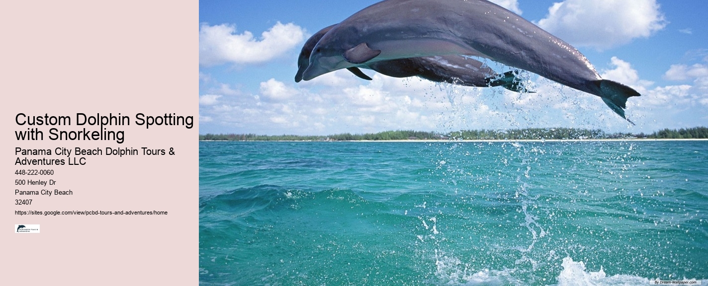 Split Personalized Snorkeling And Dolphin Charters