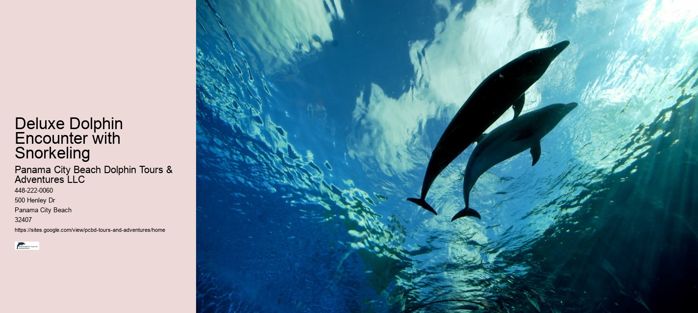 Snorkel Tours