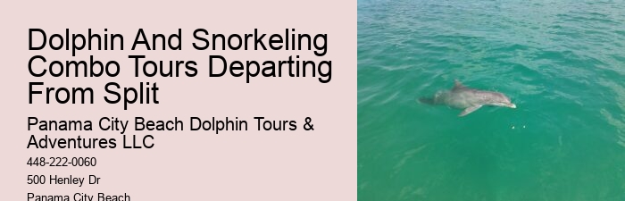 Can You Swim With Dolphins In Miami