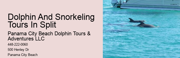 PCB Dolphin Exploration Voyages
