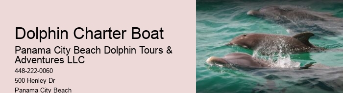 Deluxe Dolphin Swim and Snorkeling Trips