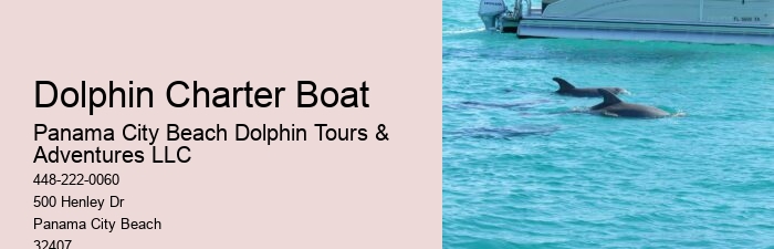 Why Not To Swim With Dolphins
