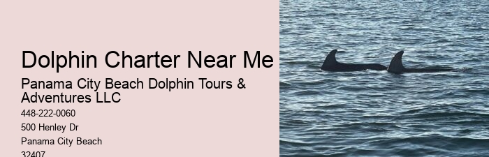Dolphin And Snorkeling Tours Panama City Beach Fl