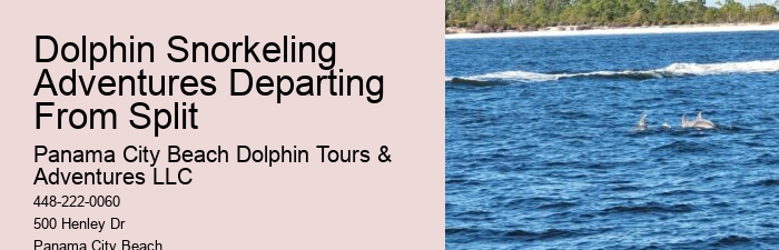 18 Best Places To Swim With Dolphins