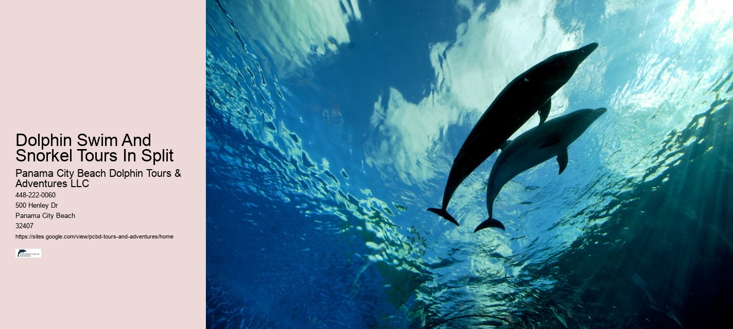 How Do Dolphins Know You're Pregnant