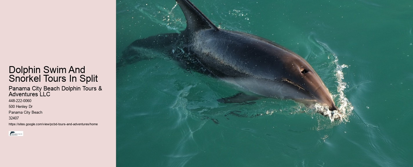 Sunset Dolphin Tours Panama City Beach Fl
