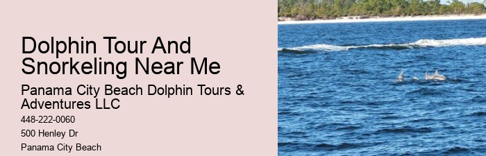 Split Exclusive Charters For Dolphin And Snorkeling Adventures