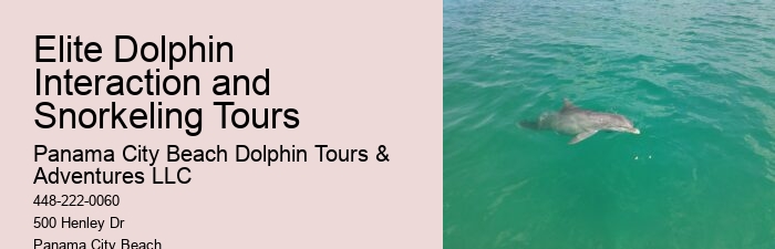 What Do You Wear On A Dolphin Boat Trip